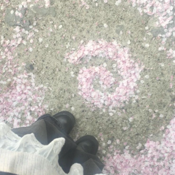 Discovery icon for ৎ asulα 🤍🌸 guilds ˚˖𓍢 icons.social.gaming.anime Discord server